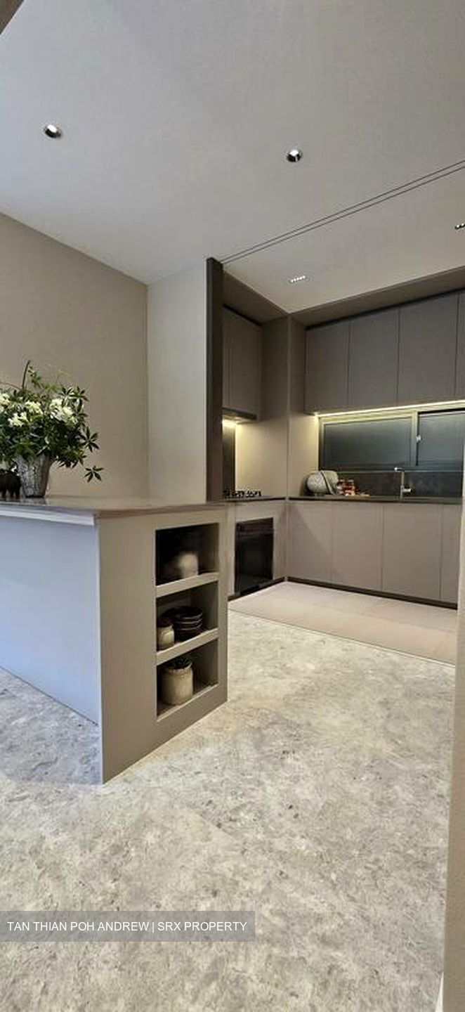 Amber Gardens (D15), Condominium #485534611